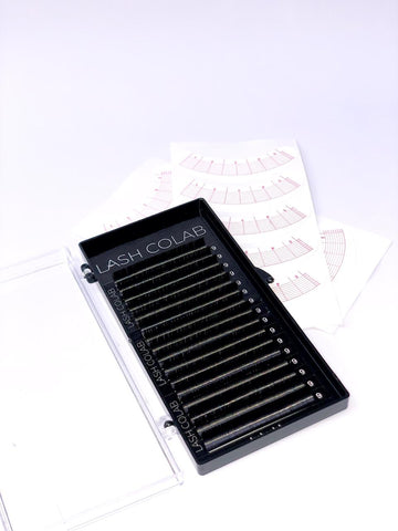 Flat Lash | Single Length Trays